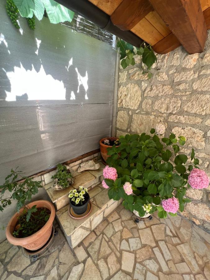 Kuca Za Odmor Matea Appartement Poreč Buitenkant foto